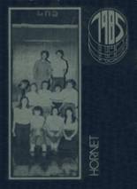 Laneburg Central High School 1985 yearbook cover photo