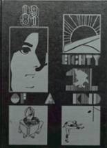 New Town High School 1981 yearbook cover photo