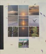 Seaside High School 2000 yearbook cover photo