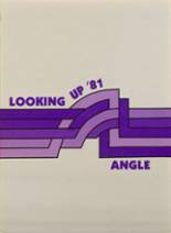 Angleton High School 1981 yearbook cover photo