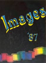 El Toro High School 1987 yearbook cover photo