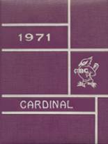 1971 Bird City Rural High School Yearbook from Bird city, Kansas cover image