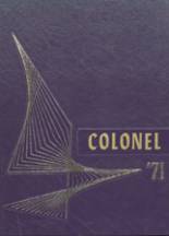 1971 Barrett High School Yearbook from Barrett, Minnesota cover image