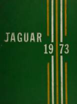 1973 Falls Church High School Yearbook from Falls church, Virginia cover image