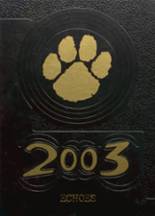 Ripley High School 2003 yearbook cover photo