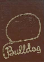 Bandera High School 1981 yearbook cover photo