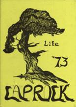 1973 North Toole County High School Yearbook from Sunburst, Montana cover image