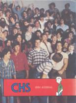 Crestwood High School 1981 yearbook cover photo