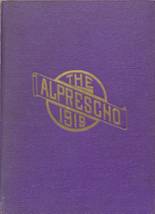 Allentown Preparatory School 1919 yearbook cover photo