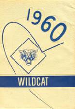Saginaw High School 1960 yearbook cover photo
