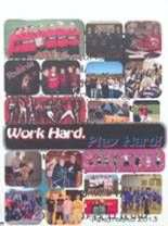 Darlington High School 2013 yearbook cover photo