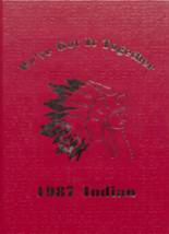 Navajo High School 1987 yearbook cover photo
