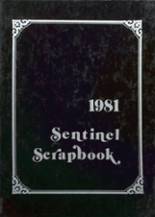 1981 Sheridan High School Yearbook from Thornville, Ohio cover image