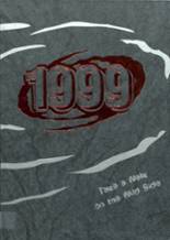 Adel-De Soto-Minburn High School 1999 yearbook cover photo