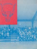 Chisholm High School 1974 yearbook cover photo