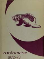 1973 Cheraw High School Yearbook from Cheraw, Colorado cover image