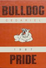 Cedarburg High School 1987 yearbook cover photo