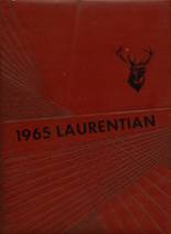 Laurens Community High School 1965 yearbook cover photo