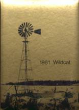 1981 Seiling High School Yearbook from Seiling, Oklahoma cover image