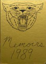 Andover Central High School 1989 yearbook cover photo