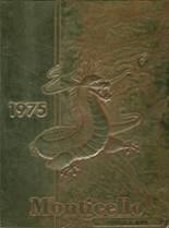 1975 Jefferson High School Yearbook from Tampa, Florida cover image