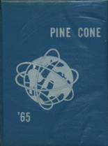 White Pine High School 1965 yearbook cover photo