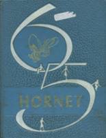 Louise High School 1965 yearbook cover photo
