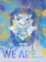 Oconto High School 2018 yearbook cover photo