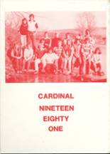 Hayes Center High School 1981 yearbook cover photo