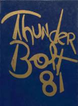 1981 Ottawa-Glandorf High School Yearbook from Ottawa, Ohio cover image