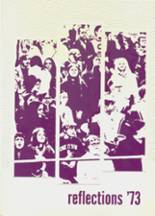 1973 Dodgeland High School Yearbook from Juneau, Wisconsin cover image