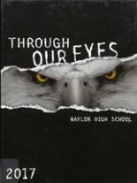 2017 Naylor High School Yearbook from Naylor, Missouri cover image