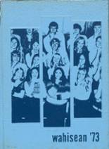 Warren-Alvarado-Oslo High School 1973 yearbook cover photo