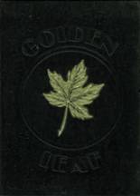 1981 Mt. Juliet High School Yearbook from Mt. juliet, Tennessee cover image