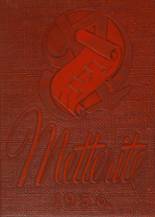 Metter High School 1956 yearbook cover photo