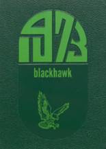 1973 Brandon High School Yearbook from Ortonville, Michigan cover image