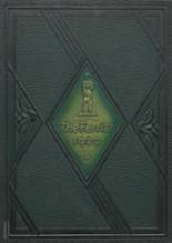 1929 Martins Ferry High School Yearbook from Martins ferry, Ohio cover image