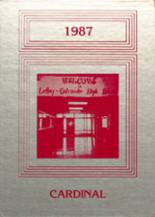 1987 Leroy-Ostrander High School Yearbook from Le roy, Minnesota cover image