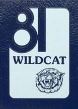 1981 Yates Center High School Yearbook from Yates center, Kansas cover image