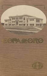 1915 Orland High School Yearbook from Orland, California cover image