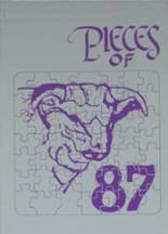 Marfa High School 1987 yearbook cover photo