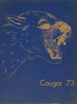 Crow High School 1973 yearbook cover photo