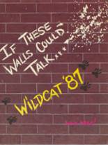 Richmond Hill High School 1987 yearbook cover photo