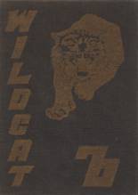 Archer City High School 1970 yearbook cover photo