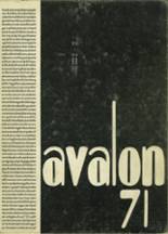 Avalon High School 1971 yearbook cover photo