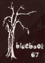 1967 St. Mary's High School Yearbook from Akron, Ohio cover image