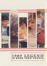 Indian Hill High School 1989 yearbook cover photo