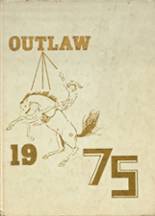 1975 Weleetka High School Yearbook from Weleetka, Oklahoma cover image