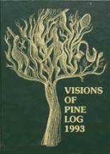 1993 Stissing Mountain High School Yearbook from Pine plains, New York cover image