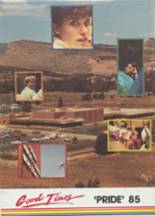 Lyons High School 1985 yearbook cover photo